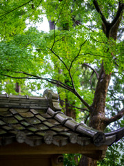 円覚寺
