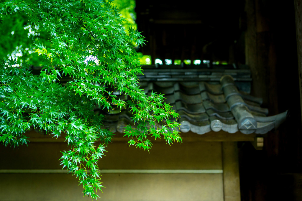 円覚寺
