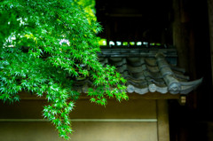 円覚寺