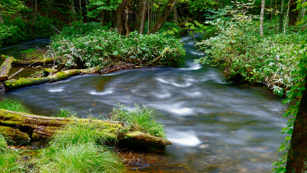 日光　湯滝　渓流