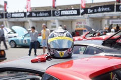 サーキットの犬2