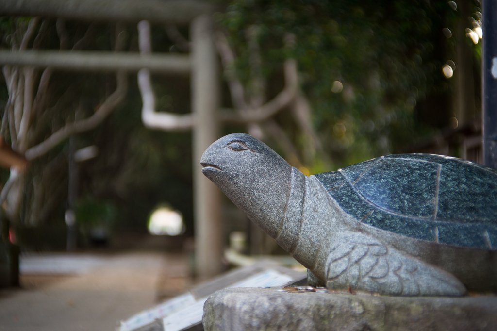 ご利益お願いします☆