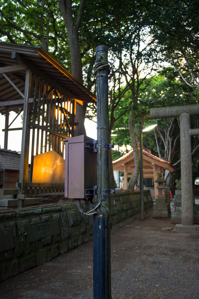 酒列磯前神社　参道の電柱