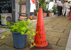 新宿スナップ