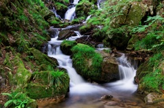 生田の大滝(下部)