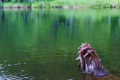 木戸池(志賀高原)