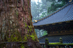 日光　東照宮
