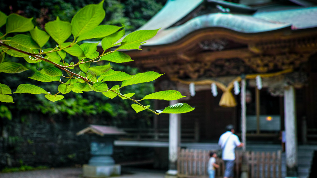 泉神社