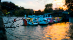 秋 千波湖の夕日