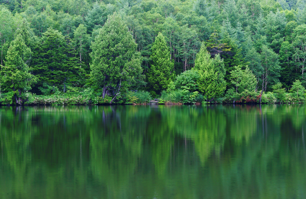 木戸池（志賀高原）