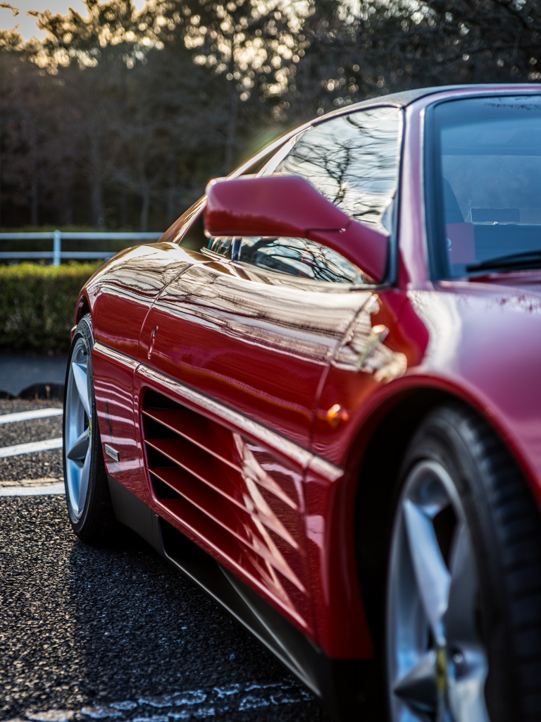 サイドフィン　ブラザース