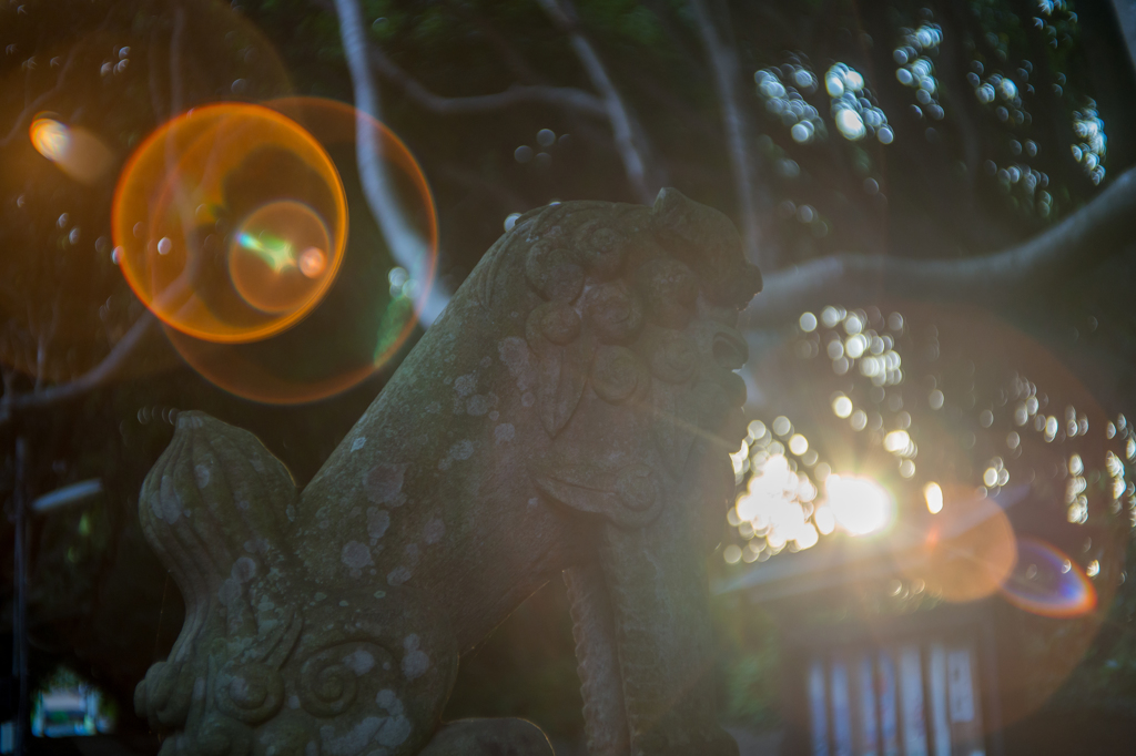 酒列磯前神社　夕日