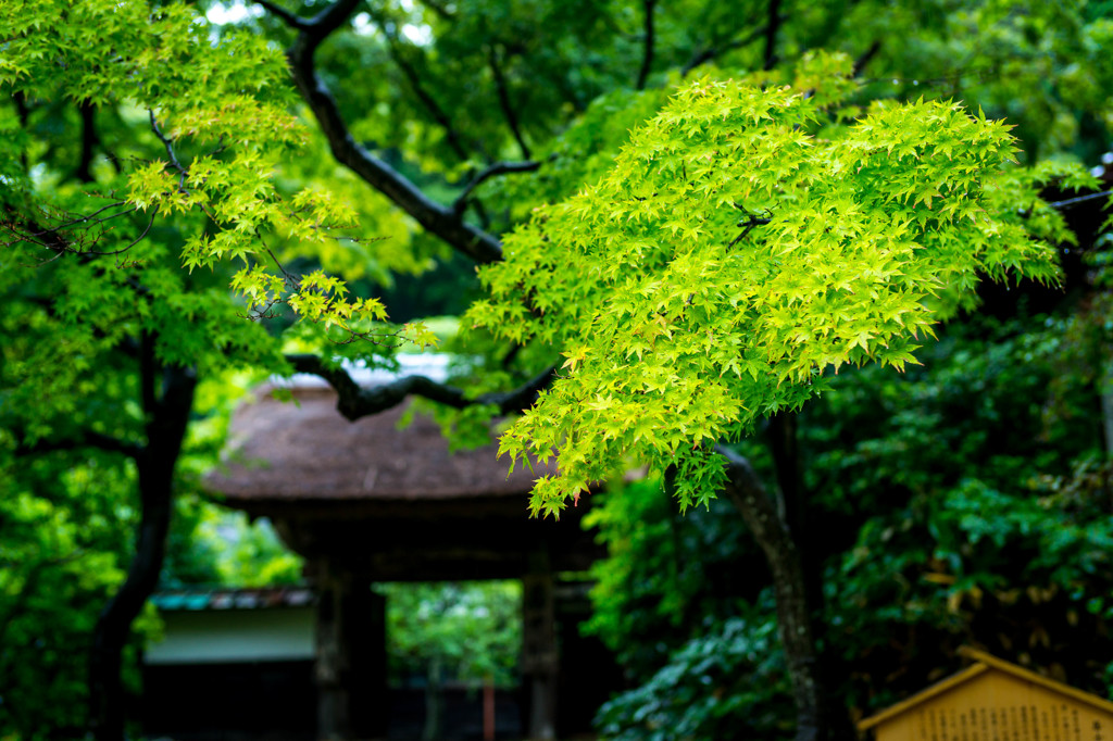 円覚寺