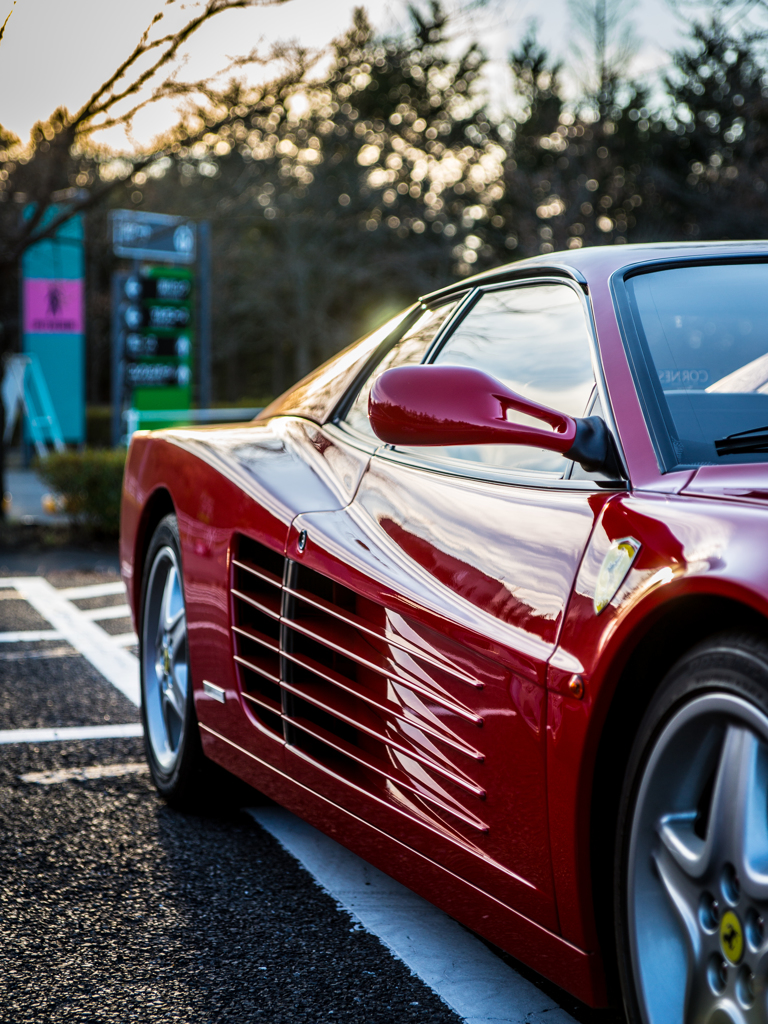 サイドフィン　ブラザース