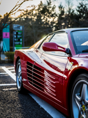 サイドフィン　ブラザース