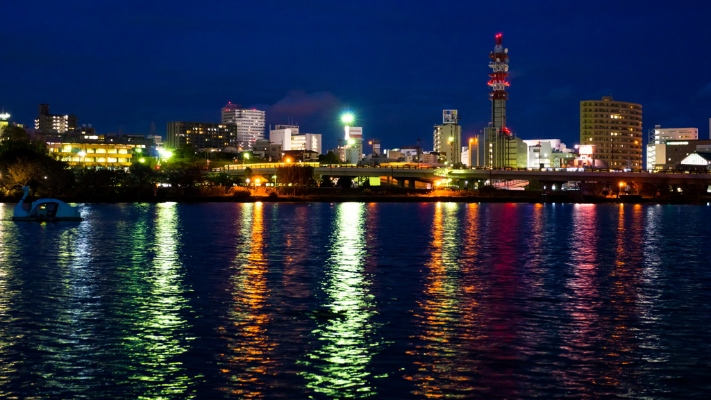 夜の千波湖