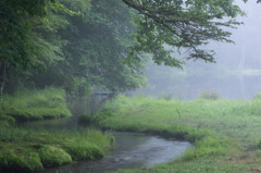 立ち籠める、霧と翠