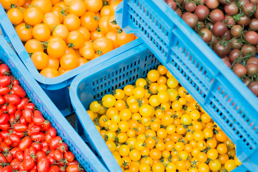 トマトトマトトマト