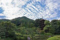 うろこ雲と瑠璃光寺