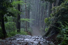 深緑の通り道