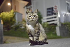 ばっちりカメラ目線