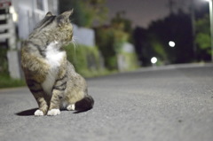 視線の先に何がいる？