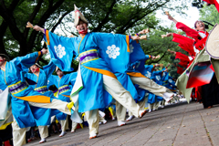 光が丘よさこい祭り_Ⅵ (2日目)