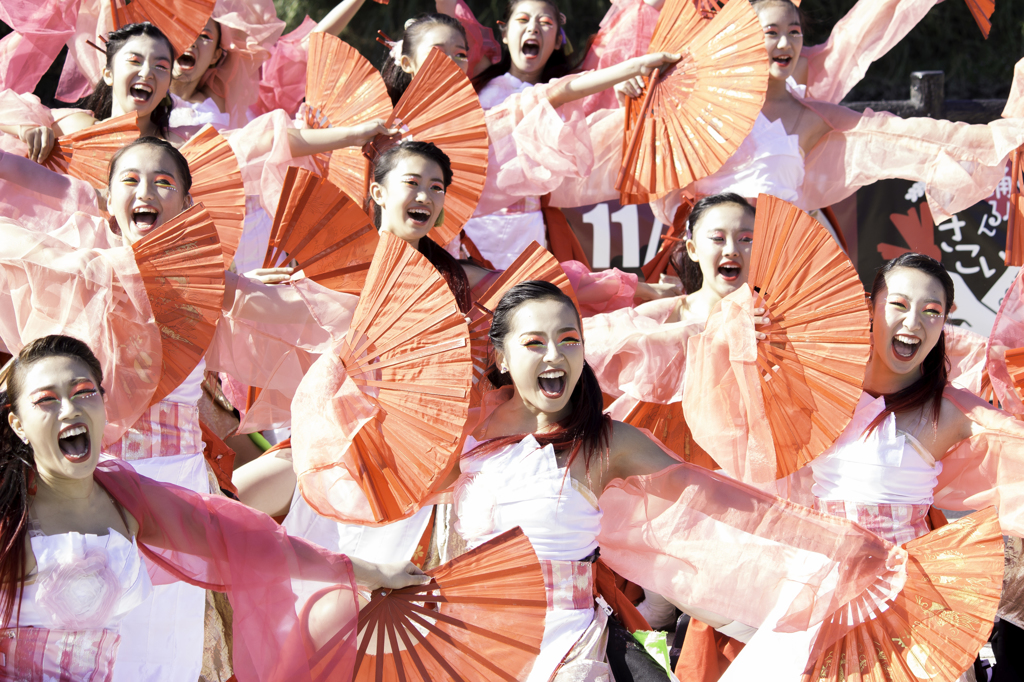 草加ふささら祭り/疾風乱舞さん