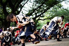 光が丘よさこい祭り_Ⅴ　(2日目)