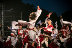 光が丘よさこい祭り_Ⅱ（2日目）