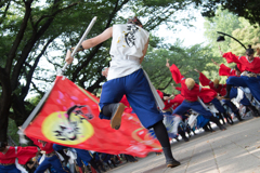 光が丘よさこい祭り_Ⅶ (2日目)