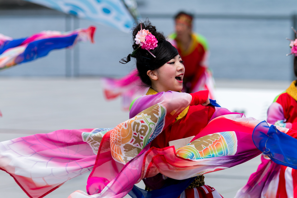 横浜よさこい祭り～良い世さ来い_6
