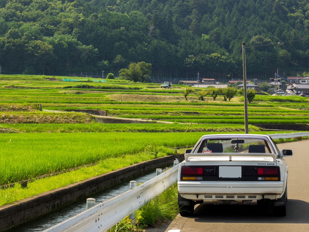 田舎の風景