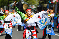 よさこい祭り2014