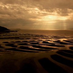 a tidal flat 