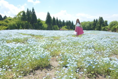 くじゅう花公園