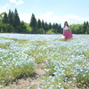 くじゅう花公園