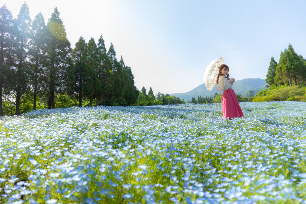 お花畑ポートレート