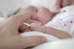 small  hand