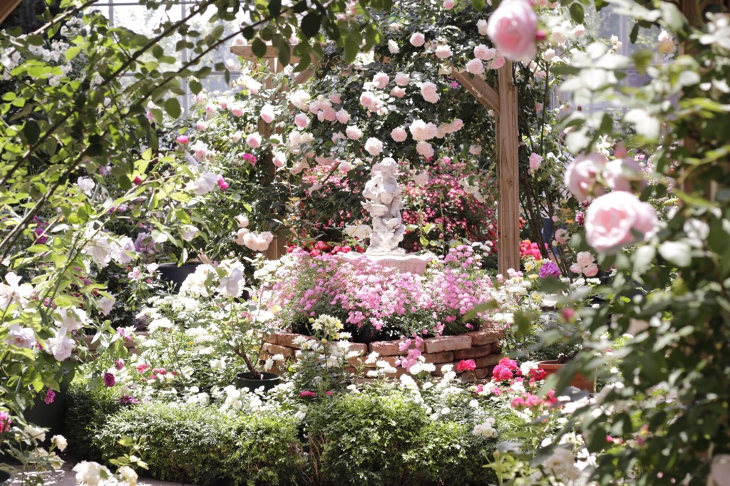 薔薇園