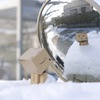熊本にも雪が！