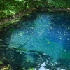 青池にて
