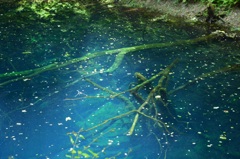 青池 2