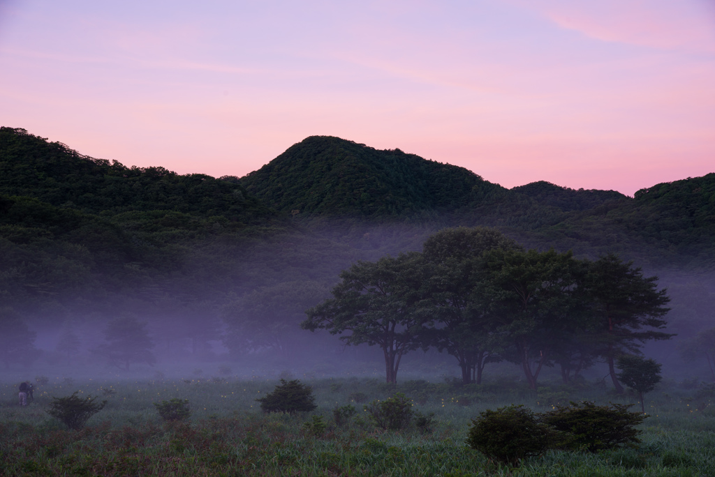 夢想情景