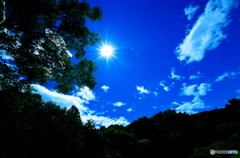 青空