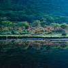 慎鏡