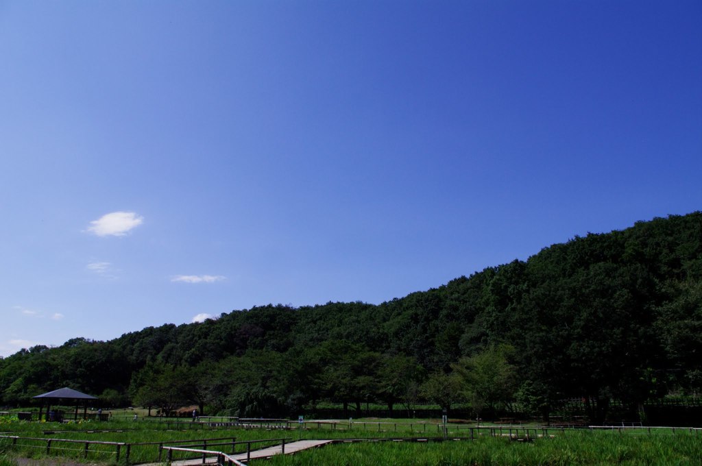 東京の風景