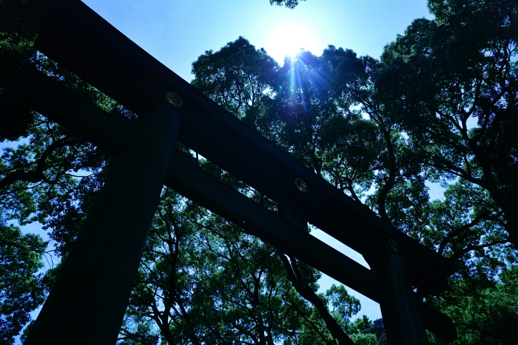 神々しー。