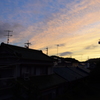夕焼け