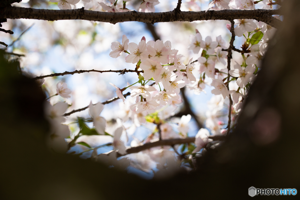 すぐ向こうの希望へ